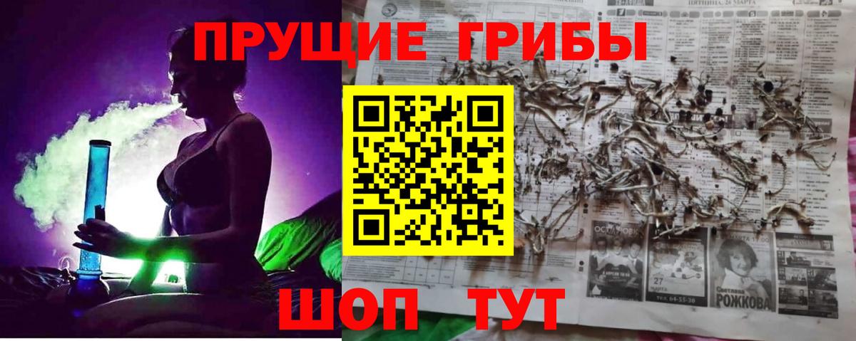 Псилоцибиновые грибы Psilocybine cubensis  Вход с VPN  Галлюциногенные грибы GOLDEN TEACHER  Реж 